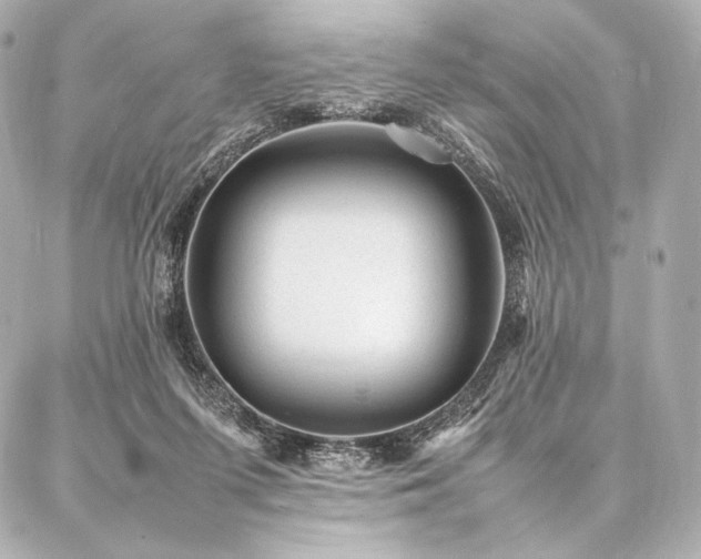 X0000086970215200704231524