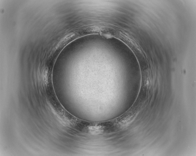 X0000086970216200704231524