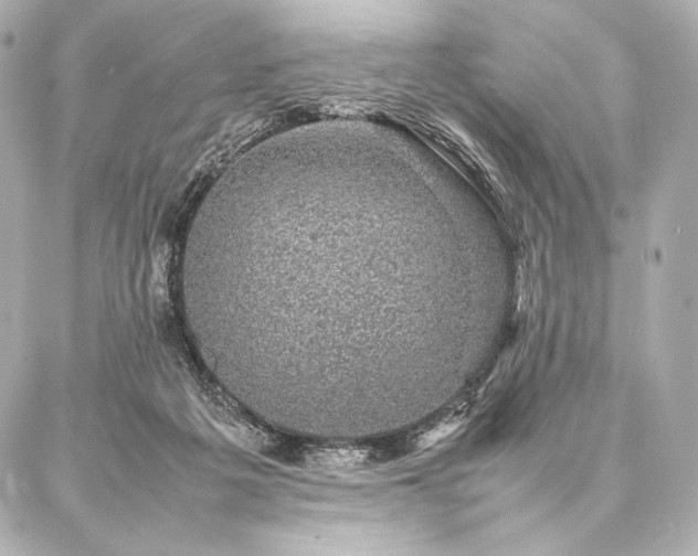 X0000086970217200704231524