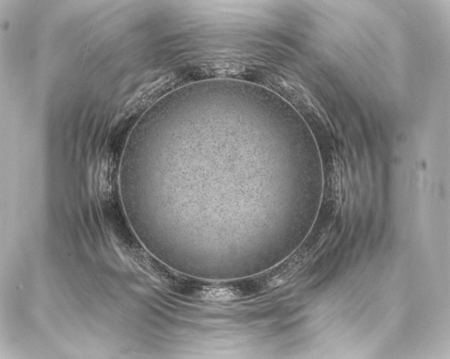 X0000086970218200704231524