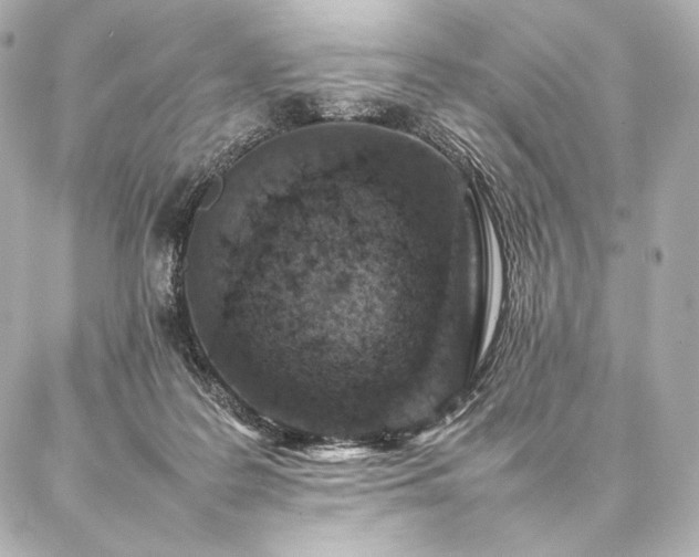 X0000086970219200704231523