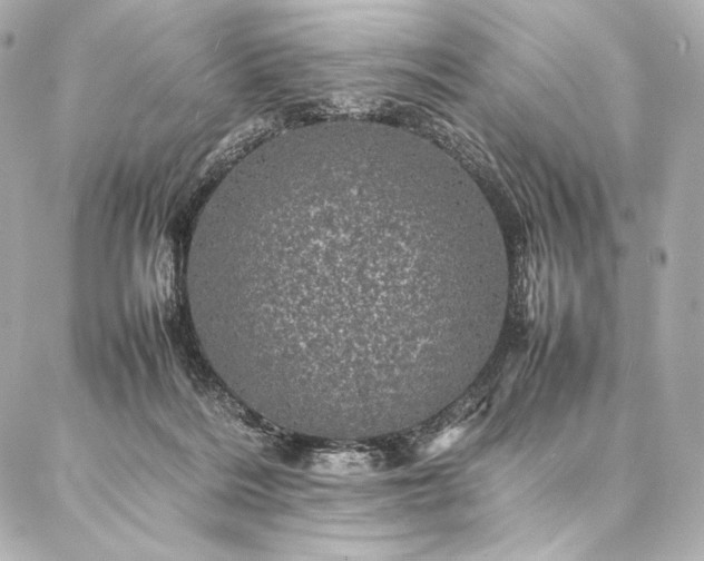 X0000086970220200704231523