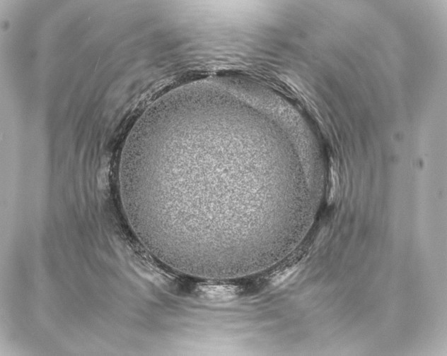 X0000086970221200704231523