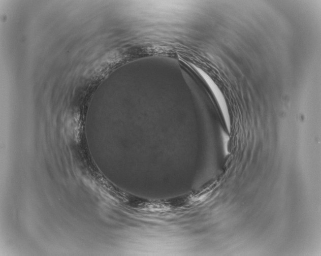 X0000086970223200704231523