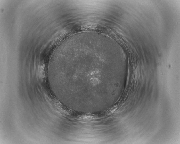 X0000086970224200704231523