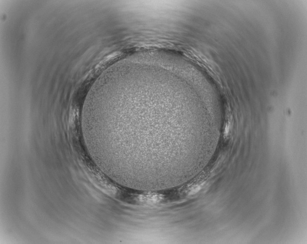 X0000086970225200704231523