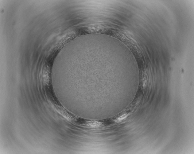 X0000086970226200704231523