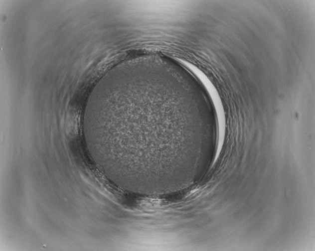 X0000086970227200704231523