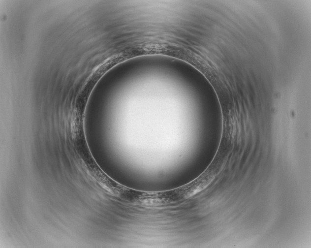 X0000086970228200704231523