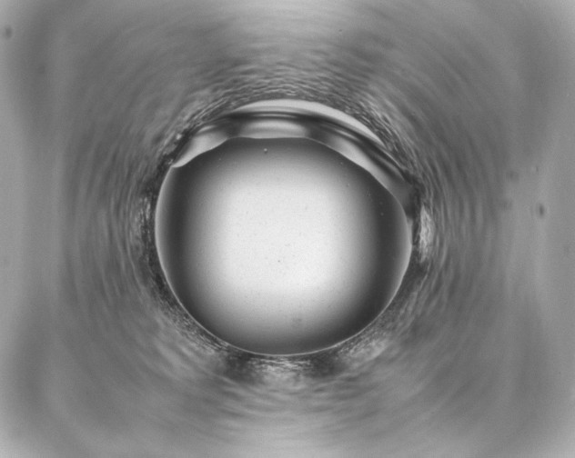 X0000086970229200704231523