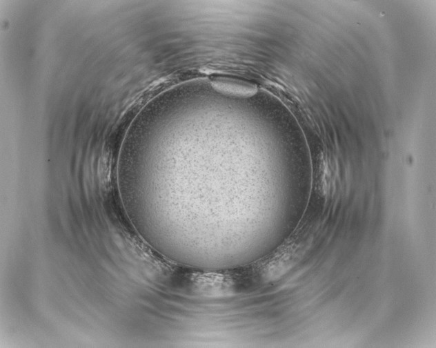 X0000086970230200704231523