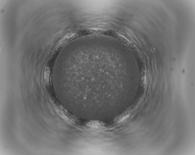 X0000086970231200704231523