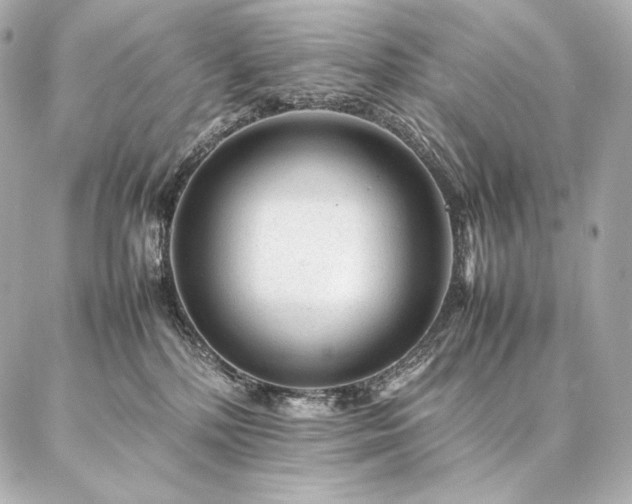 X0000086970232200704231523