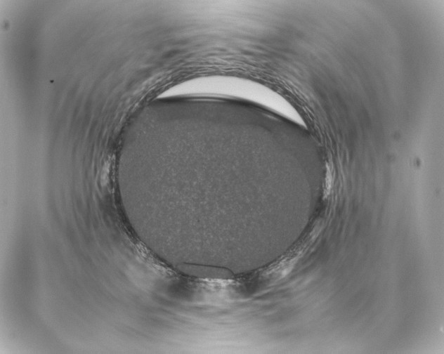 X0000086970233200704231523