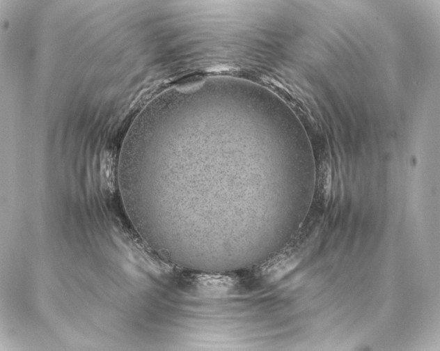 X0000086970234200704231523