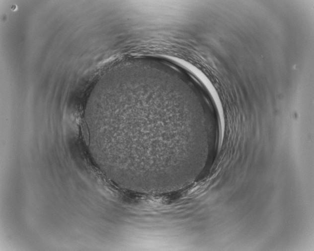 X0000086970235200704231523