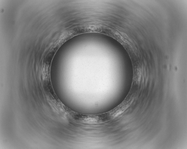 X0000086970236200704231523