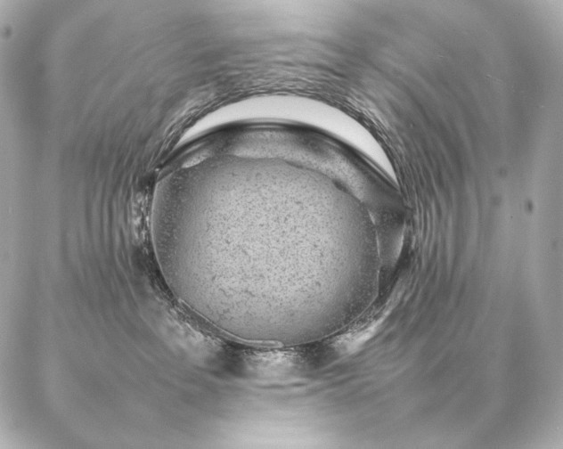 X0000086970237200704231523