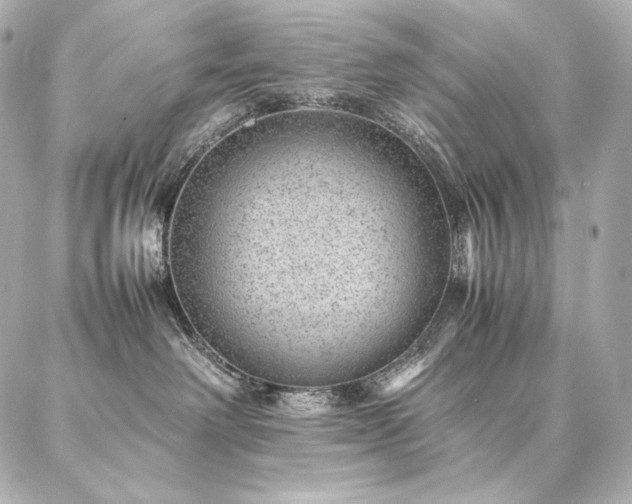 X0000086970238200704231523