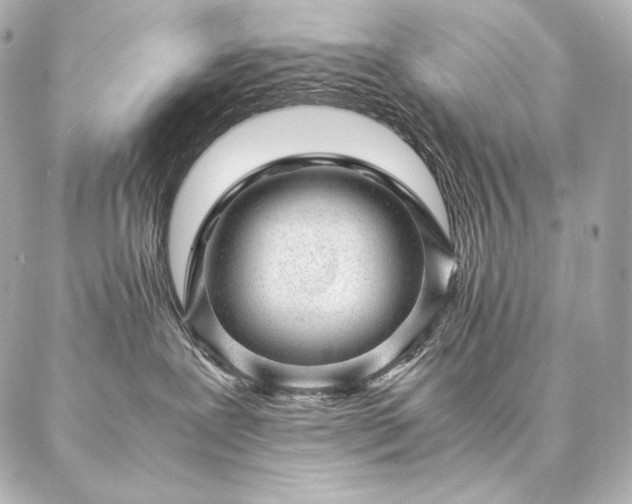 X0000086970239200704231523