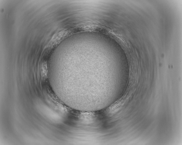 X0000086970240200704231523