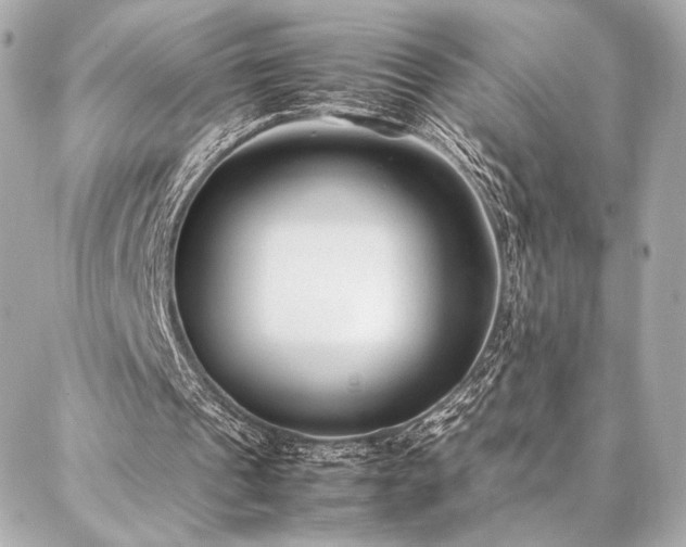 X0000086970241200704231522