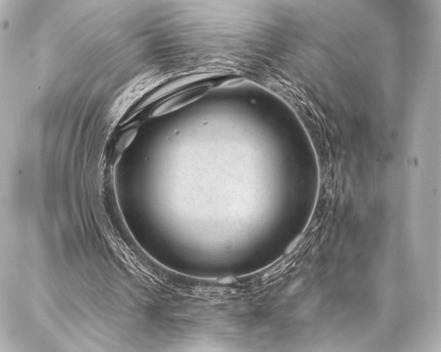 X0000086970242200704231522