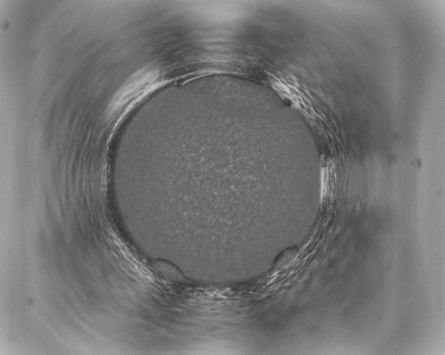 X0000086970243200704231522