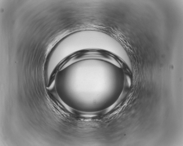 X0000086970244200704231522