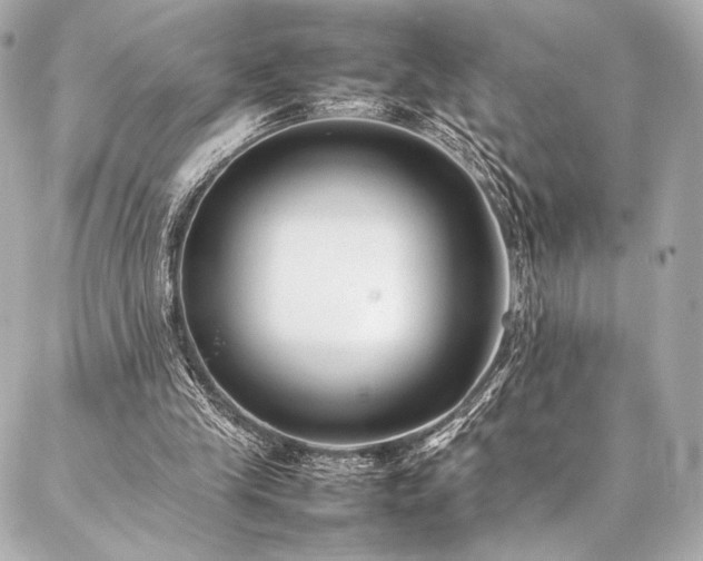 X0000086970245200704231522