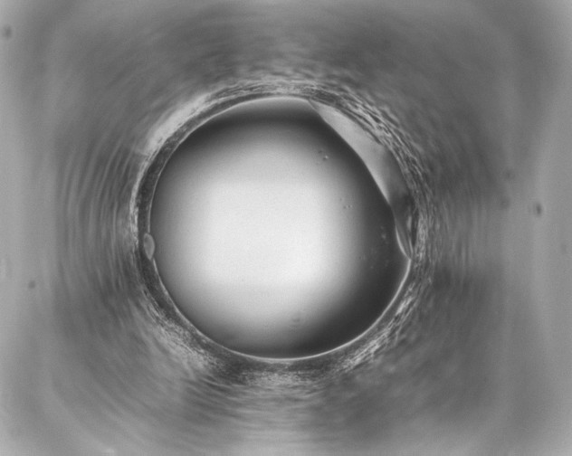 X0000086970246200704231522