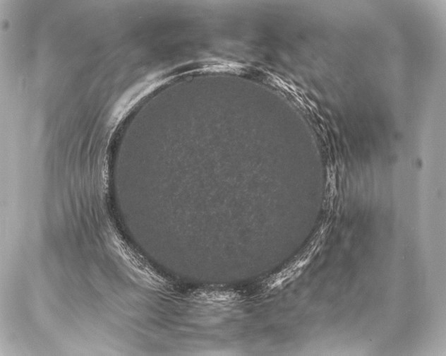 X0000086970247200704231522