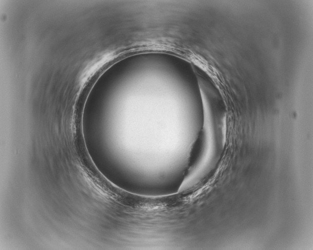 X0000086970248200704231522