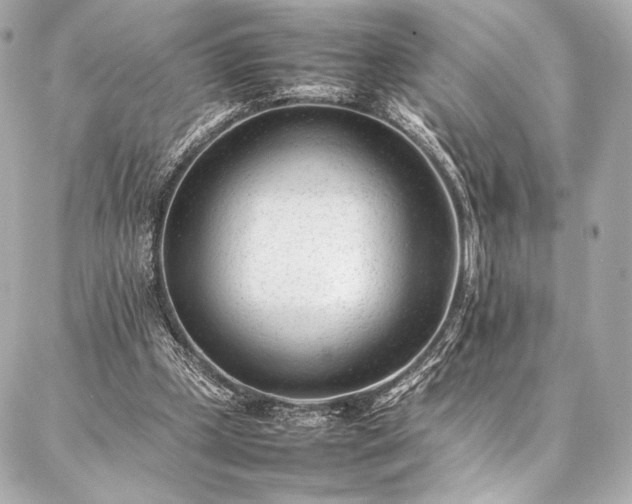 X0000086970249200704231522