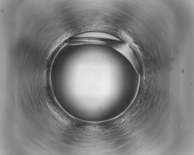 X0000086970250200704231523