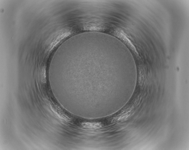 X0000086970251200704231523