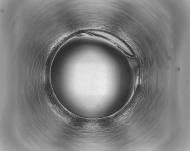 X0000086970252200704231523