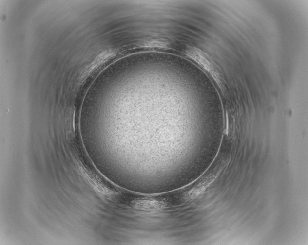 X0000086970253200704231523