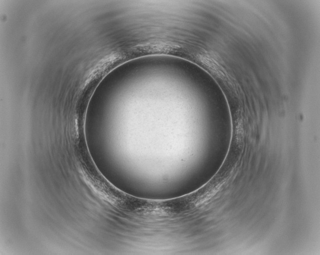 X0000086970254200704231523