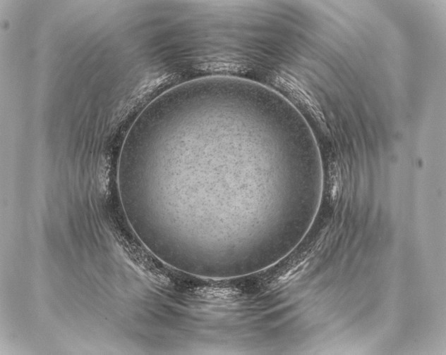 X0000086970255200704231523