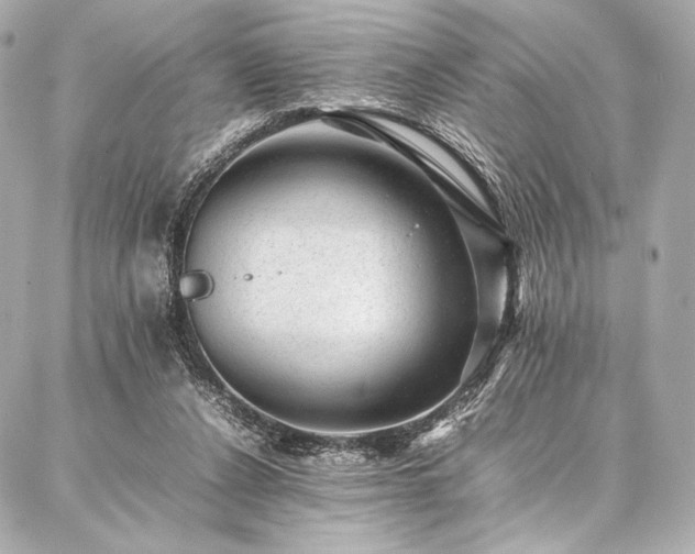 X0000086970256200704231523