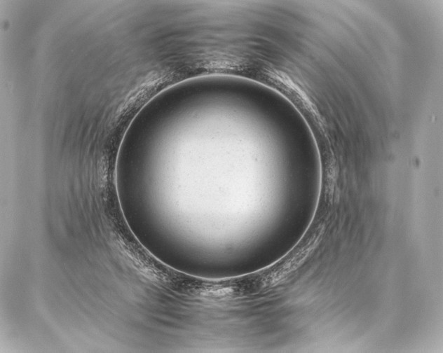 X0000086970257200704231523