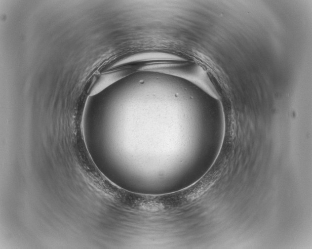 X0000086970258200704231523