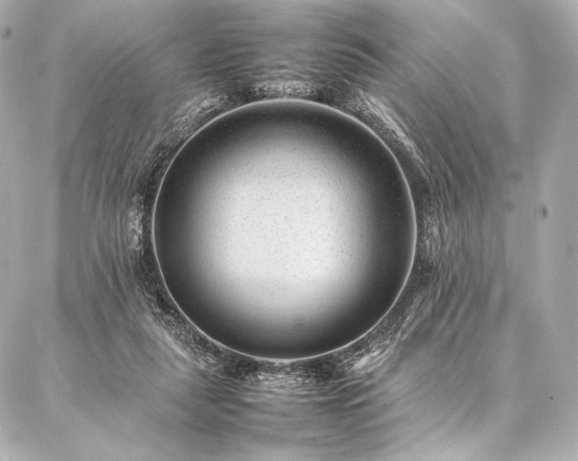 X0000086970259200704231523