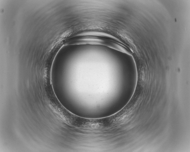 X0000086970260200704231523