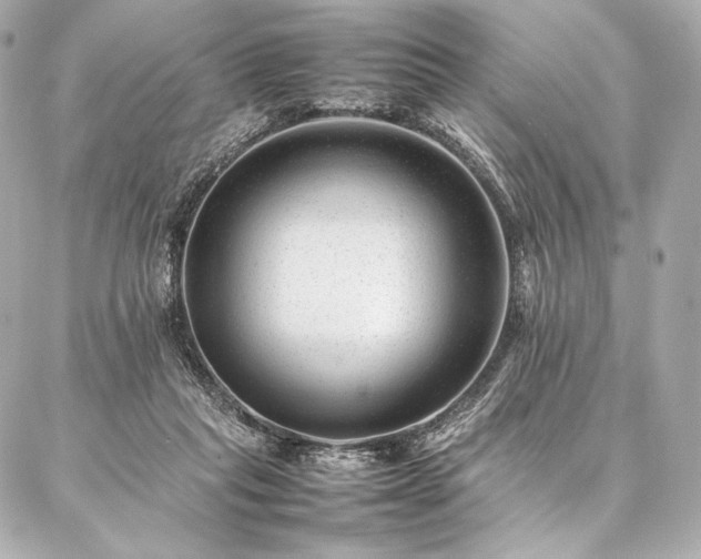 X0000086970261200704231523