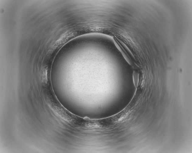 X0000086970262200704231523