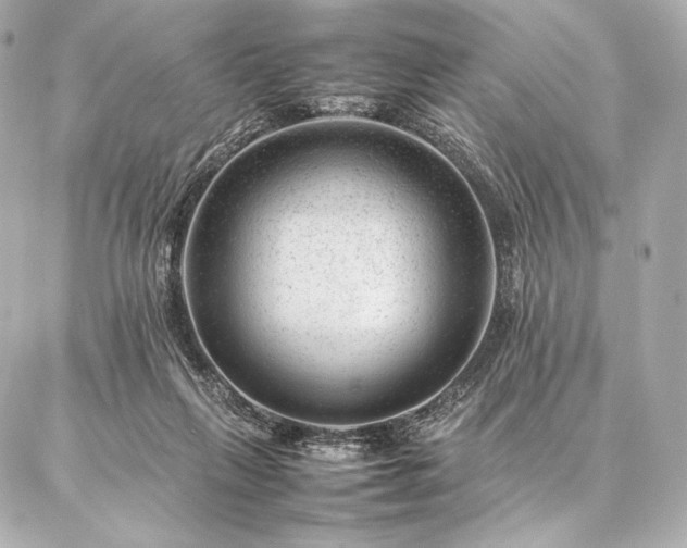 X0000086970263200704231523