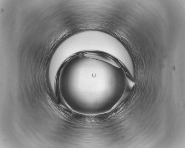 X0000086970264200704231523