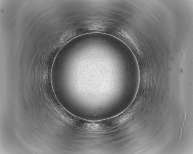 X0000086970265200704231523